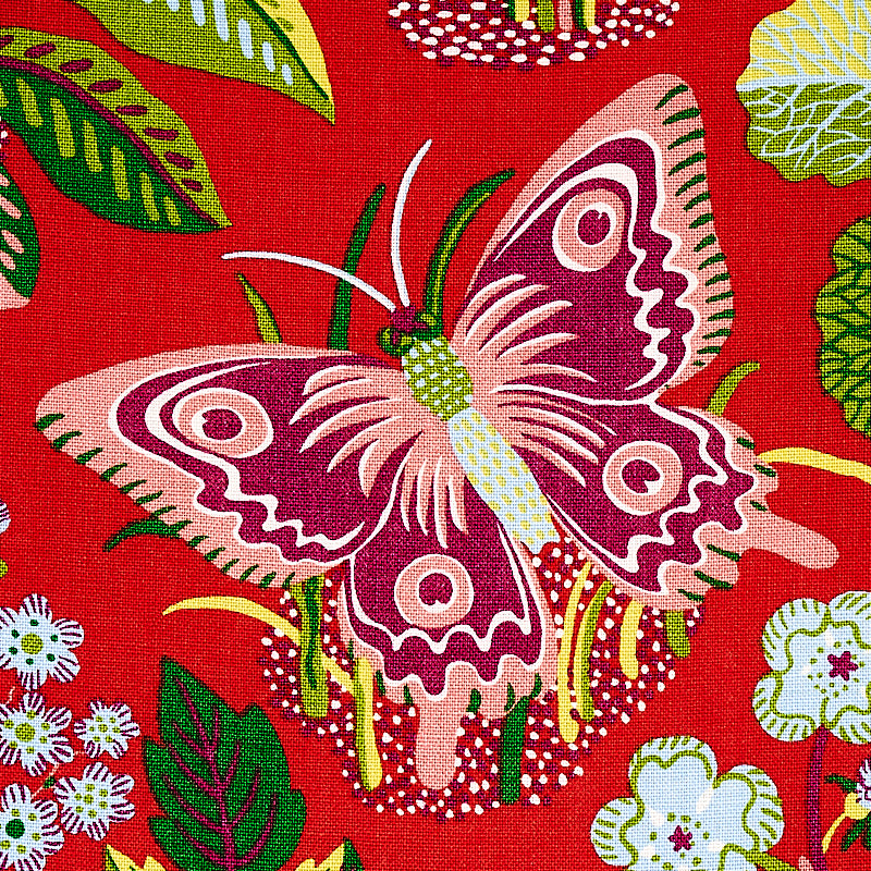 EXOTIC BUTTERFLY | RED