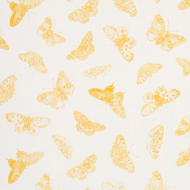 BURNELL BUTTERFLY | YELLOW