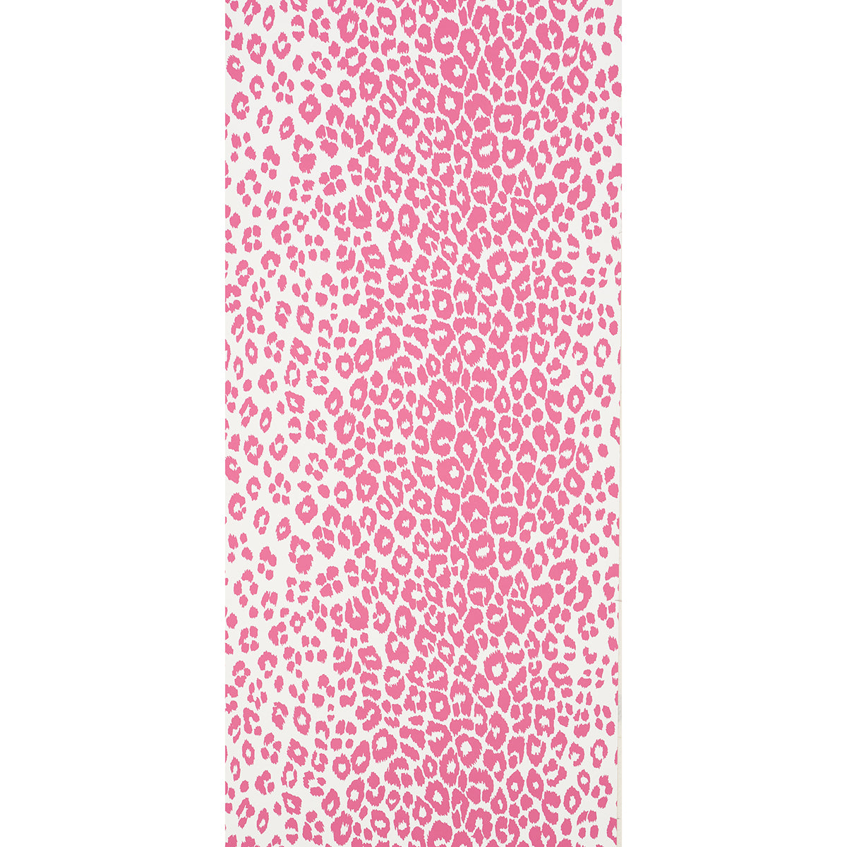 ICONIC LEOPARD | PINK
