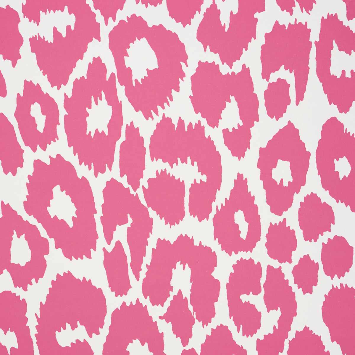 ICONIC LEOPARD | PINK