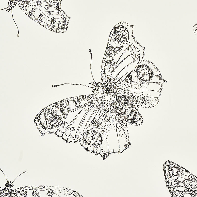 BURNELL BUTTERFLY | IVORY