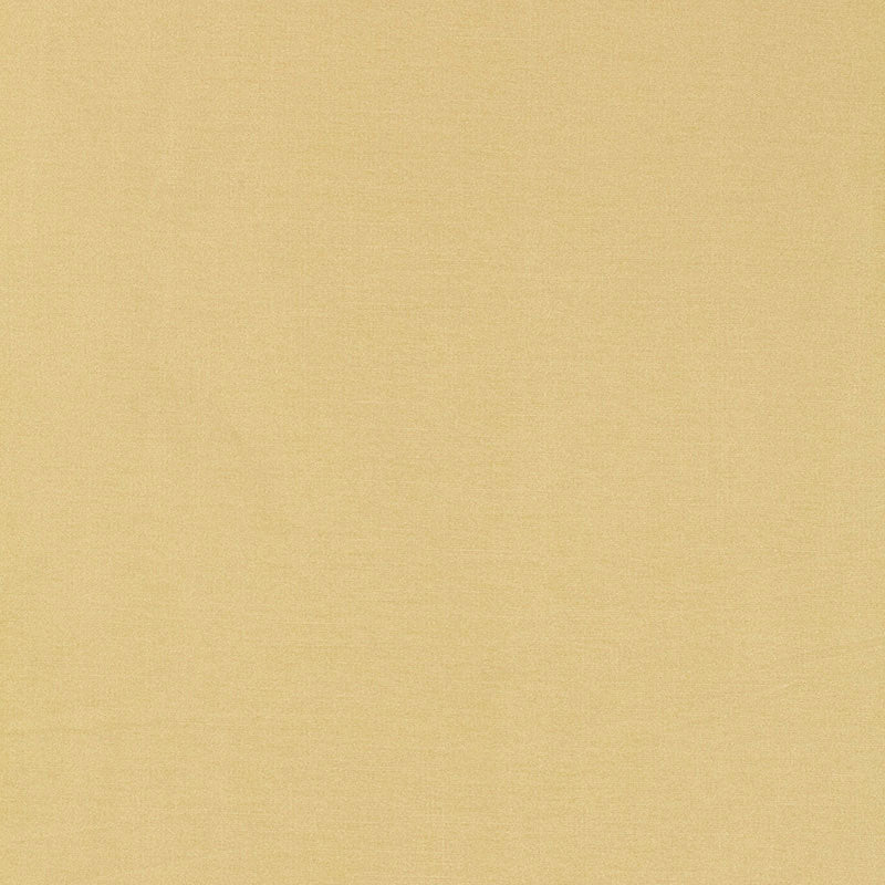 TIEPOLO SHANTUNG WEAVE | CHAMPAGNE